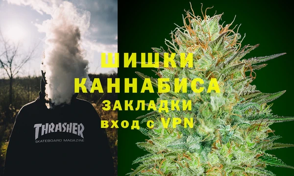 гашик Горняк