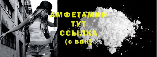 гашик Горняк