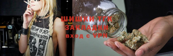 гашик Горняк