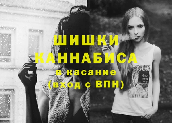 гашик Горняк