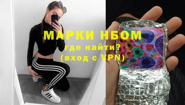 гашик Горняк