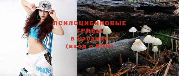 гашик Горняк