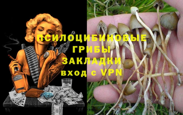 гашик Горняк