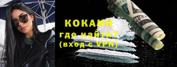 гашик Горняк