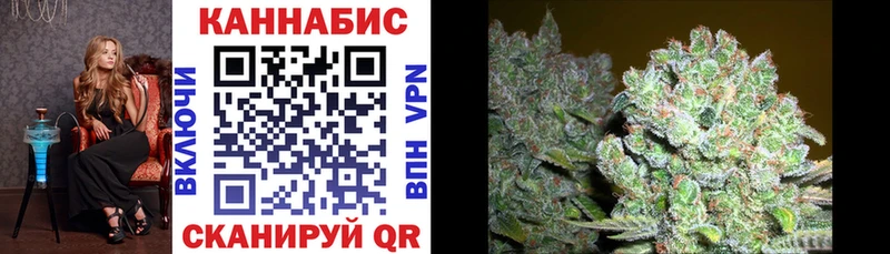 Бошки Шишки гибрид  Купить закладки  Новоалтайск 